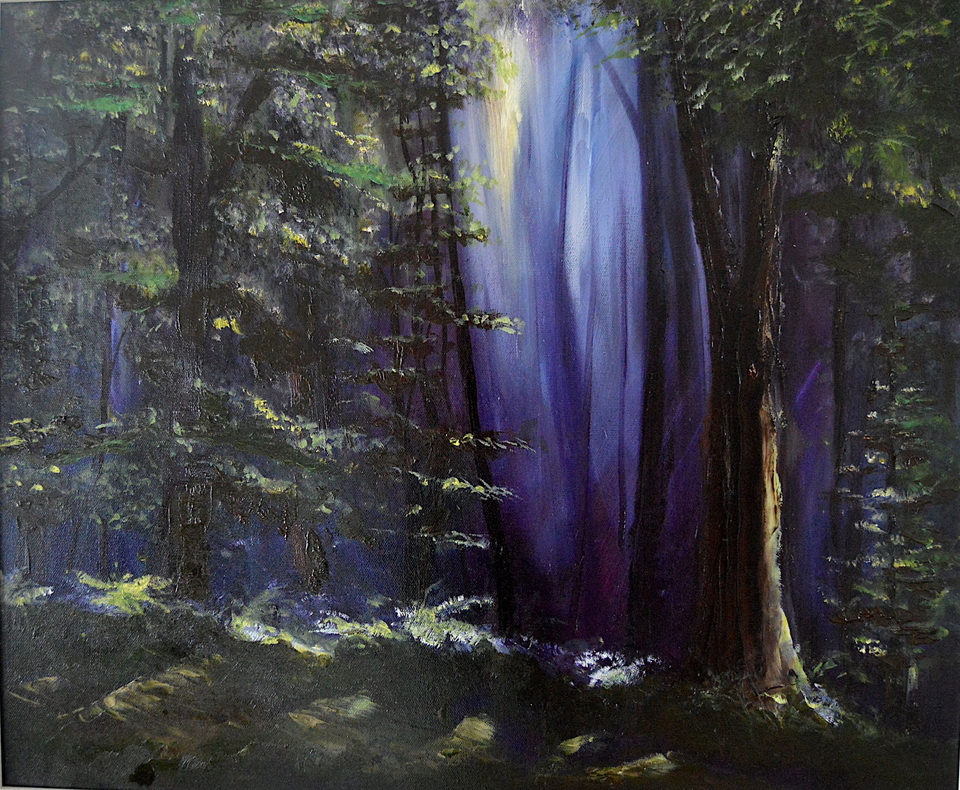 020 Woodland