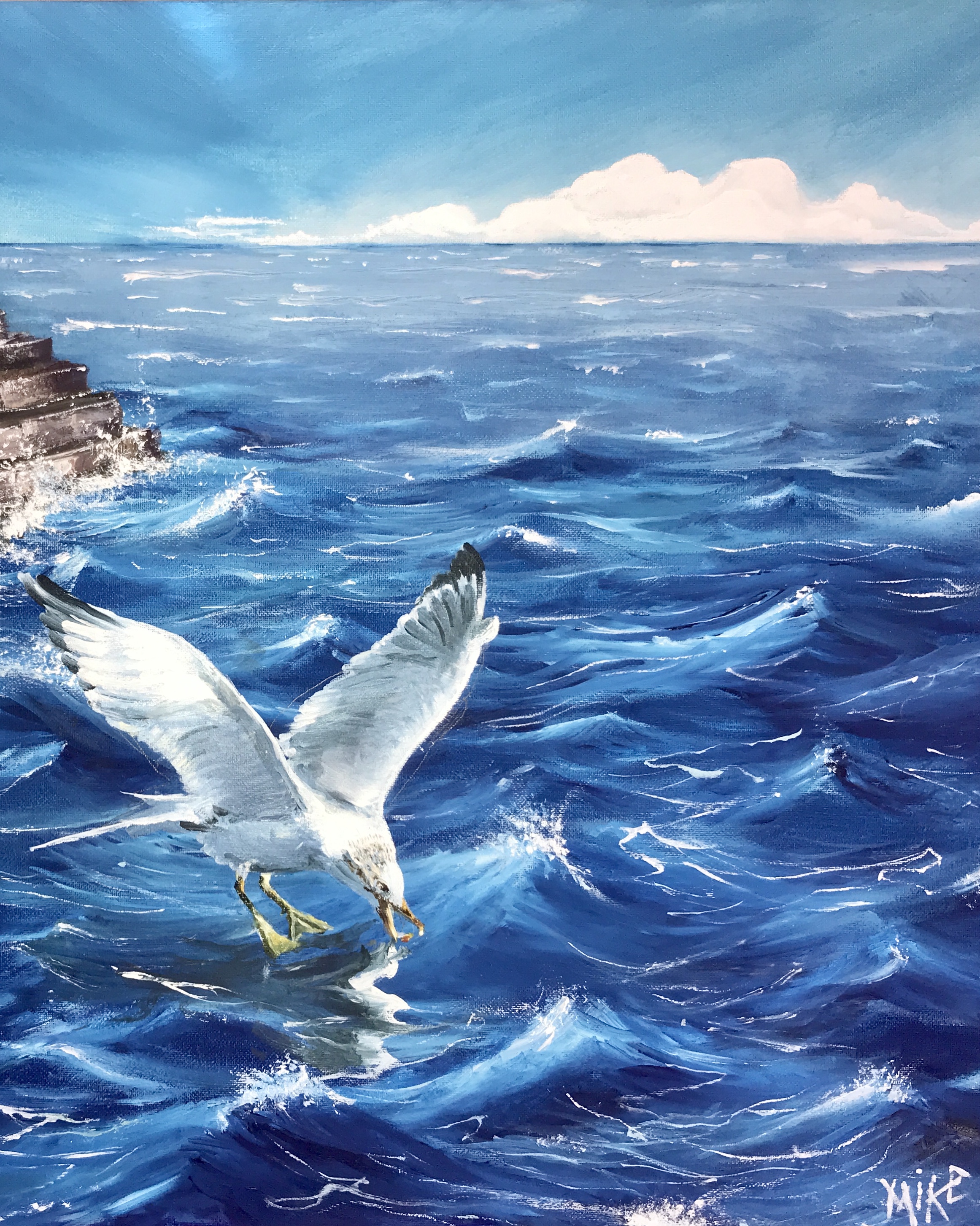 001 Cullercoats Seagull
