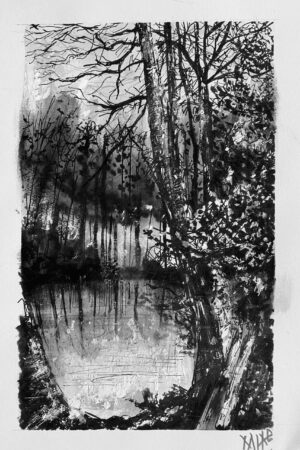 040 Winter Pond