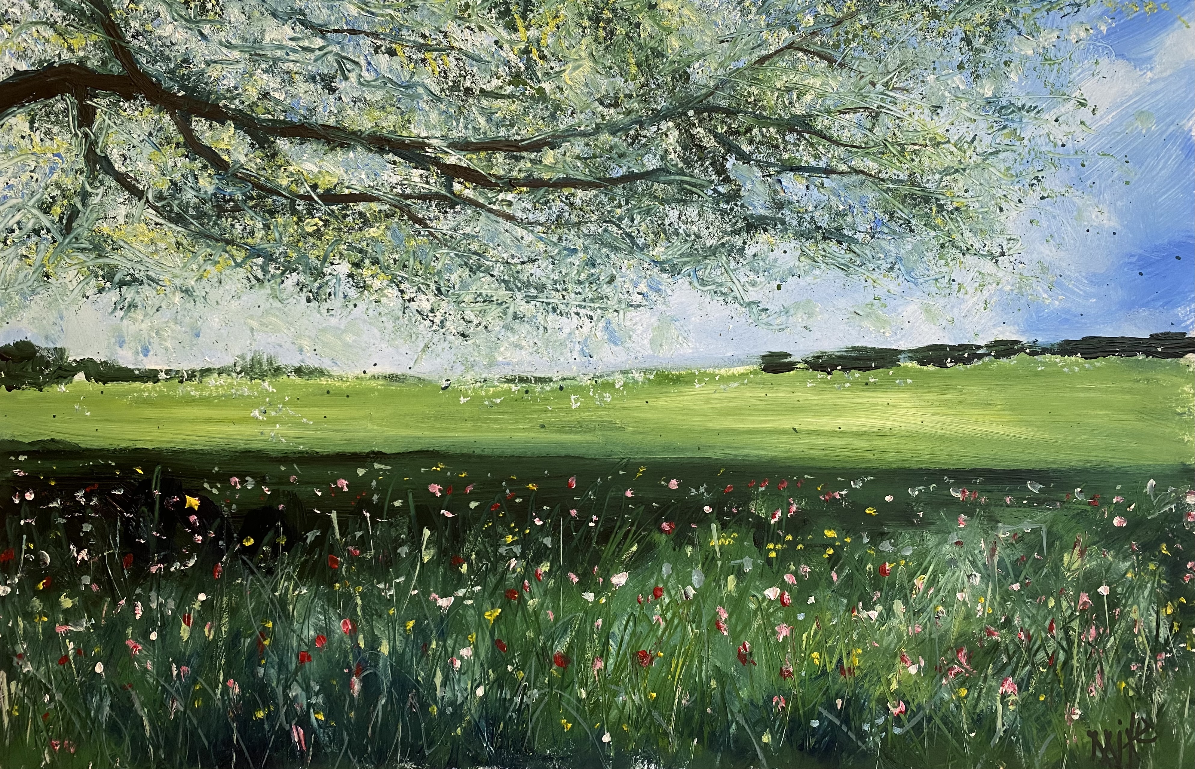 013 Ham Gardens